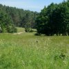 Tour 5: Krumminer Wieck